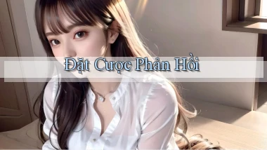 Đặt cược Phản hồi